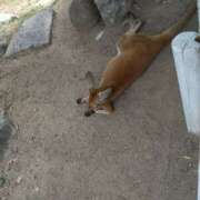 ヒメ日記 2025/08/26 19:49 投稿 みお 日本橋熟女咲裸（さくら）