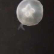 ヒメ日記 2025/09/03 20:05 投稿 みお 日本橋熟女咲裸（さくら）