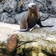 ヒメ日記 2025/09/11 12:41 投稿 みお 日本橋熟女咲裸（さくら）