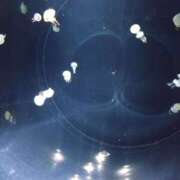 ヒメ日記 2025/10/11 10:25 投稿 みお 日本橋熟女咲裸（さくら）