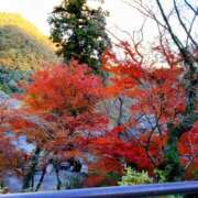 ヒメ日記 2025/12/01 12:21 投稿 みお 日本橋熟女咲裸（さくら）