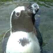 ヒメ日記 2025/12/04 09:10 投稿 みお 日本橋熟女咲裸（さくら）