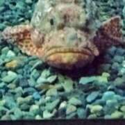 ヒメ日記 2025/12/18 13:32 投稿 みお 日本橋熟女咲裸（さくら）