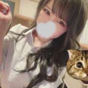 ヒメ日記 2026/04/28 02:23 投稿 清明　れお OLセレクション宇都宮店