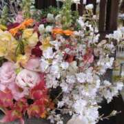 ヒメ日記 2025/04/17 14:59 投稿 ゆりえ ドMな奥様 京都店