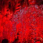 ヒメ日記 2025/04/19 05:31 投稿 ゆりえ ドMな奥様 京都店