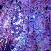 ヒメ日記 2025/04/23 14:18 投稿 ゆりえ ドMな奥様 京都店