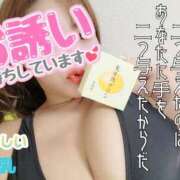 ヒメ日記 2025/06/03 09:37 投稿 みずほ 渋谷 風俗 奥様発情の会