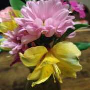 ヒメ日記 2025/04/26 17:57 投稿 暁美まどか 五十路マダム 沼津店(カサブランカグループ)