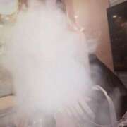 ヒメ日記 2025/04/12 17:45 投稿 のあ ドンファン