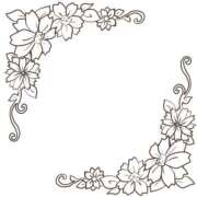 ヒメ日記 2025/08/12 17:14 投稿 のあ ドンファン