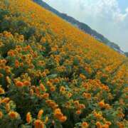 ヒメ日記 2025/09/23 06:12 投稿 のあ ドンファン