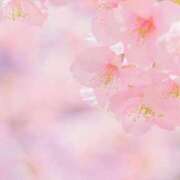 ヒメ日記 2025/09/25 01:09 投稿 のあ ドンファン