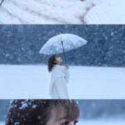 ヒメ日記 2025/12/11 05:10 投稿 のあ ドンファン