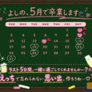 ヒメ日記 2026/05/15 12:02 投稿 よしの AFTER V（アフターファイブ）