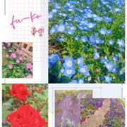 ヒメ日記 2025/04/26 17:46 投稿 フウコ秘書 秘書の品格 クラブアッシュ ヴァリエ