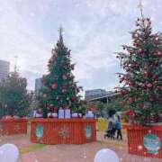 フウコ秘書 クリスマスを堪能💝 秘書の品格 クラブアッシュ ヴァリエ