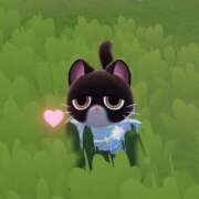 ヒメ日記 2026/02/05 07:08 投稿 フウコ秘書 秘書の品格 クラブアッシュ ヴァリエ