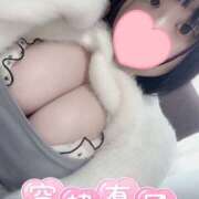 ヒメ日記 2025/10/09 07:32 投稿 ここあ 川越ぽちゃまに