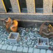 ヒメ日記 2026/01/03 12:36 投稿 ほのみ 熟女の風俗最終章 蒲田店