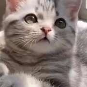 ヒメ日記 2026/03/18 12:01 投稿 ほのみ 熟女の風俗最終章 蒲田店