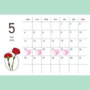 ヒメ日記 2026/05/15 11:16 投稿 ありさ AFTER V（アフターファイブ）