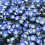 ヒメ日記 2025/05/02 11:59 投稿 めい sweet kiss