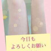 ヒメ日記 2025/04/11 11:33 投稿 あずさ ギン妻パラダイス 堺東店