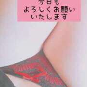 ヒメ日記 2025/04/20 09:22 投稿 あずさ ギン妻パラダイス 堺東店