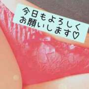 ヒメ日記 2025/05/07 09:12 投稿 あずさ ギン妻パラダイス 堺東店