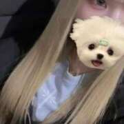 ヒメ日記 2025/04/12 19:37 投稿 のあ【FG系列】 フィーリングin横浜