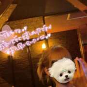 ヒメ日記 2025/06/27 01:01 投稿 のあ【FG系列】 フィーリングin横浜