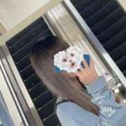 ヒメ日記 2025/10/22 01:59 投稿 のあ【FG系列】 フィーリングin横浜