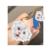 ヒメ日記 2026/01/21 19:16 投稿 のあ【FG系列】 フィーリングin横浜