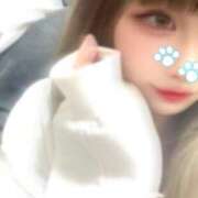 ヒメ日記 2026/01/29 02:46 投稿 のあ【FG系列】 フィーリングin横浜