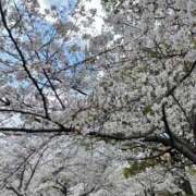 ヒメ日記 2025/04/04 05:32 投稿 りさ Evolution 2nd