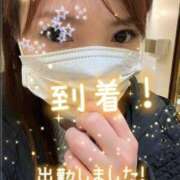 ヒメ日記 2025/04/02 10:01 投稿 白木 鶯谷人妻城