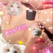 ヒメ日記 2025/04/04 11:01 投稿 白木 鶯谷人妻城