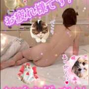 ヒメ日記 2025/04/04 19:54 投稿 白木 鶯谷人妻城