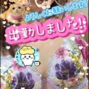 ヒメ日記 2025/04/12 10:08 投稿 白木 鶯谷人妻城