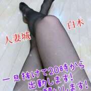 ヒメ日記 2025/04/12 15:52 投稿 白木 鶯谷人妻城