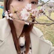 ヒメ日記 2025/04/13 01:34 投稿 白木 鶯谷人妻城