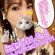 ヒメ日記 2025/04/15 10:42 投稿 白木 鶯谷人妻城