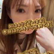 ヒメ日記 2025/05/22 08:01 投稿 白木 鶯谷人妻城