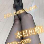 ヒメ日記 2025/05/23 08:01 投稿 白木 鶯谷人妻城