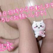 ヒメ日記 2025/06/07 01:44 投稿 白木 鶯谷人妻城