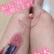 ヒメ日記 2025/08/03 10:01 投稿 白木 鶯谷人妻城