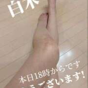 ヒメ日記 2025/08/12 09:45 投稿 白木 鶯谷人妻城