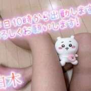 ヒメ日記 2025/08/14 08:01 投稿 白木 鶯谷人妻城