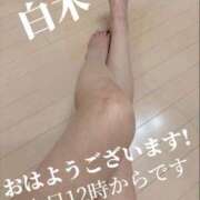 ヒメ日記 2025/09/04 08:01 投稿 白木 鶯谷人妻城